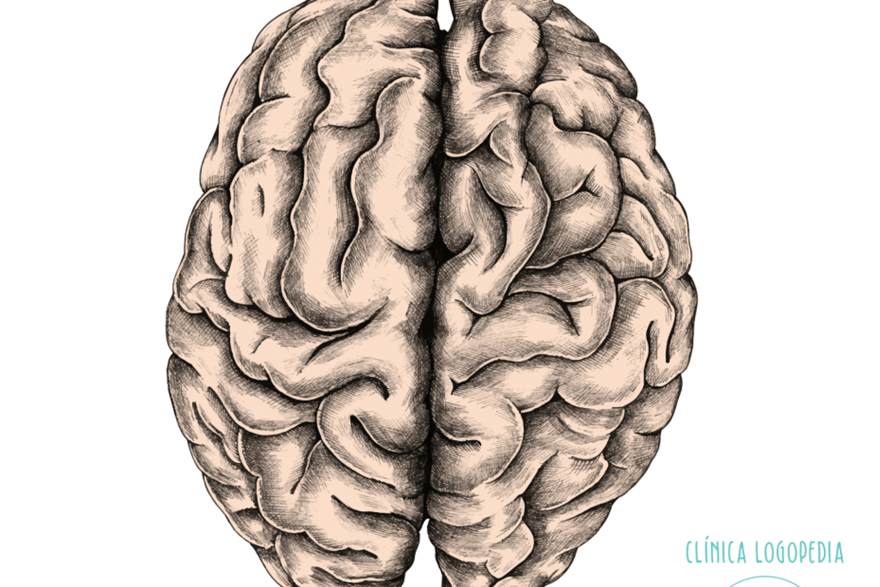 Ictus y Logopedia
